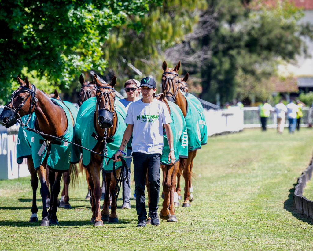 The Art of Buying Polo Ponies: Insights from La Natividad Polo
