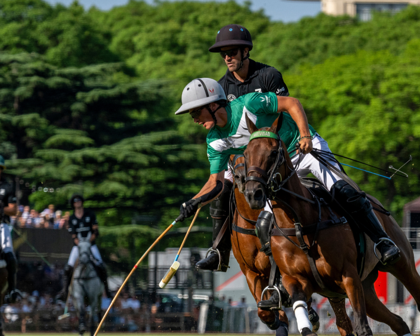 All About Polo: Rules and Game Dynamics